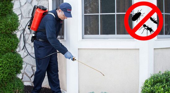 Şenpazar Bit İlaçlama böcek ilaçlama ve haşere kontrolü — ilaclama-tr.com
